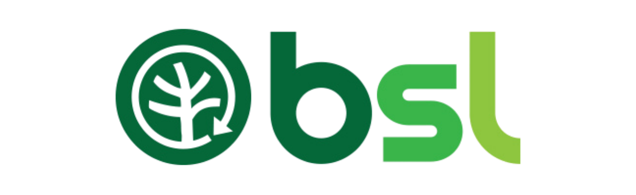BSL logo